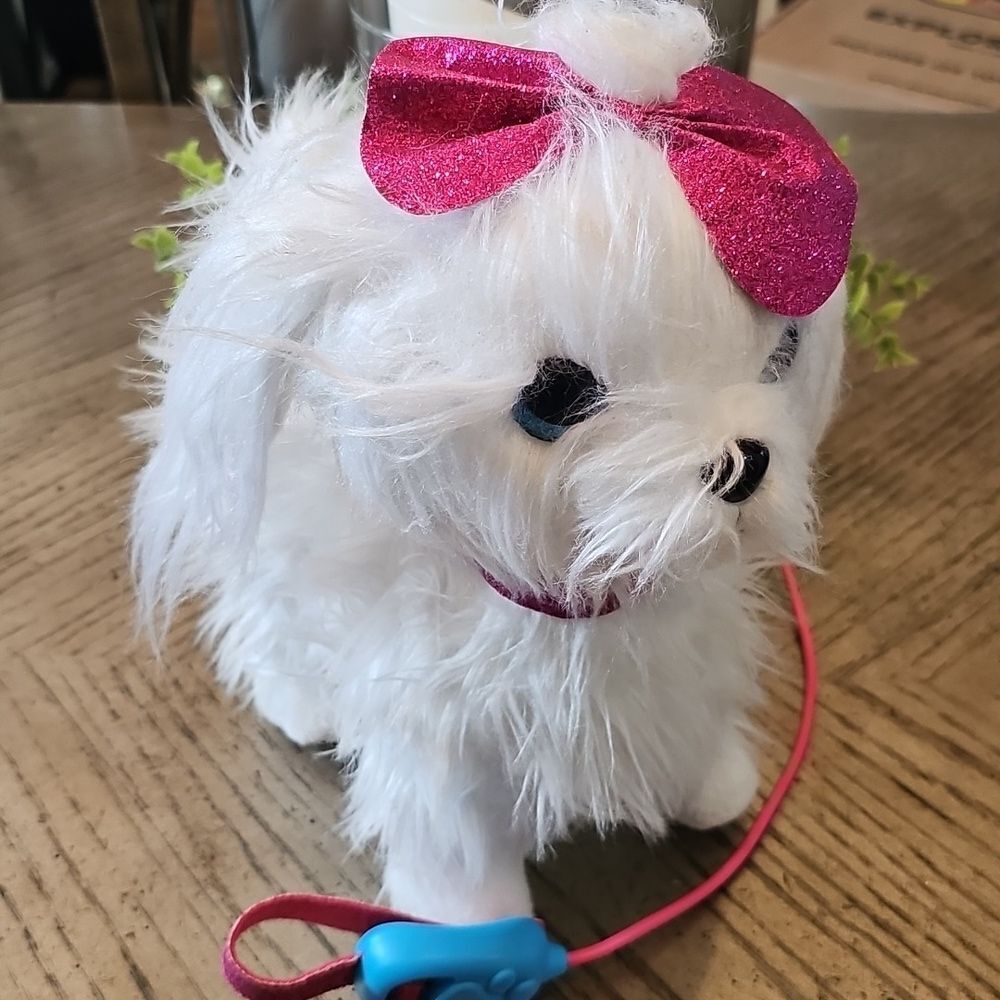 Guru pets walking, barking Maltese dog
